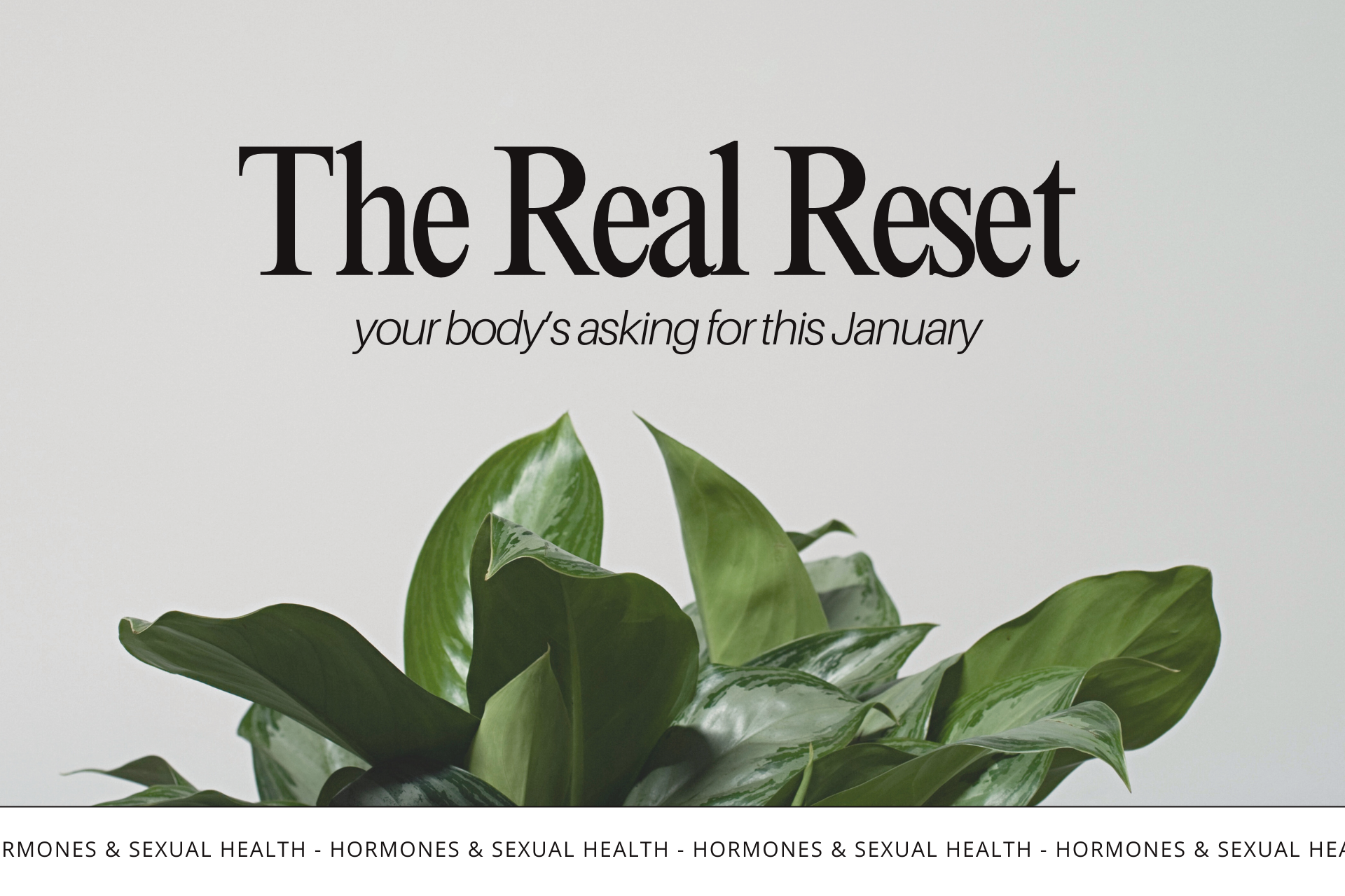 The True New Year Reset: Balancing Your Hormones After Holiday Chaos