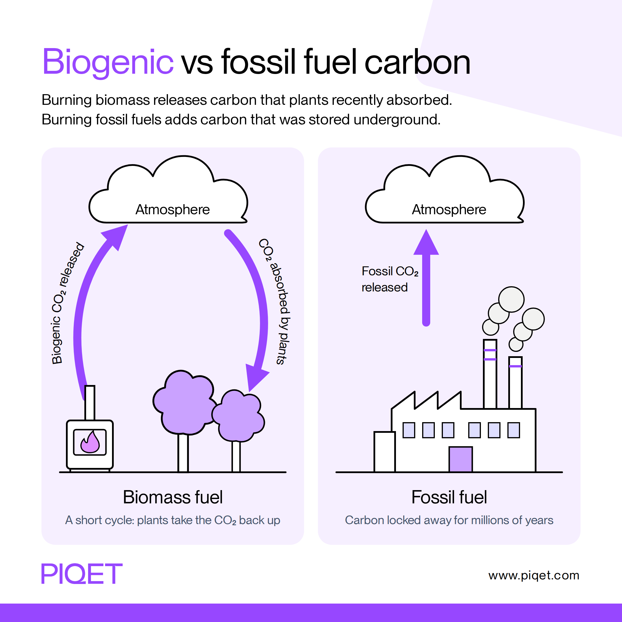 Calculating biogenic carbon footprint