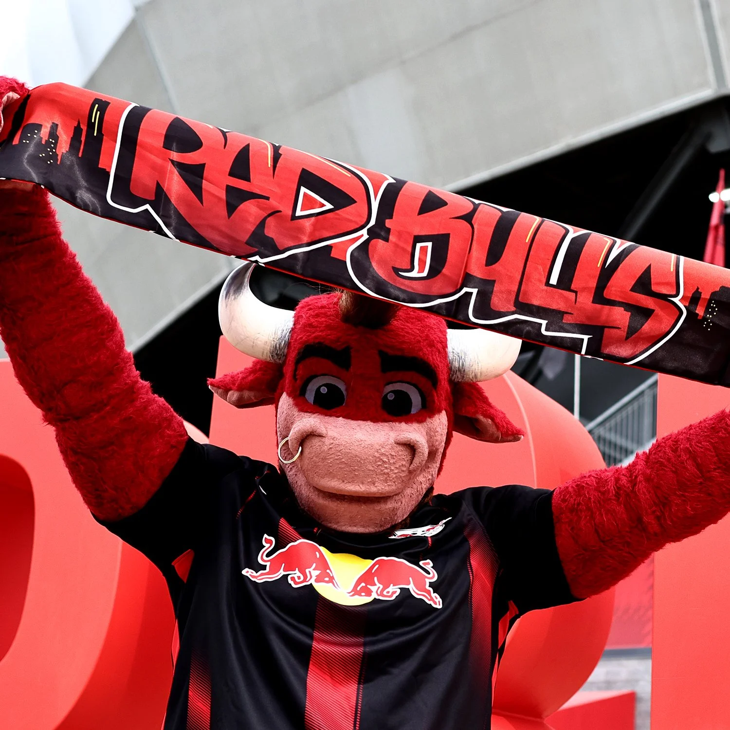 New York Red Bulls Scarf
