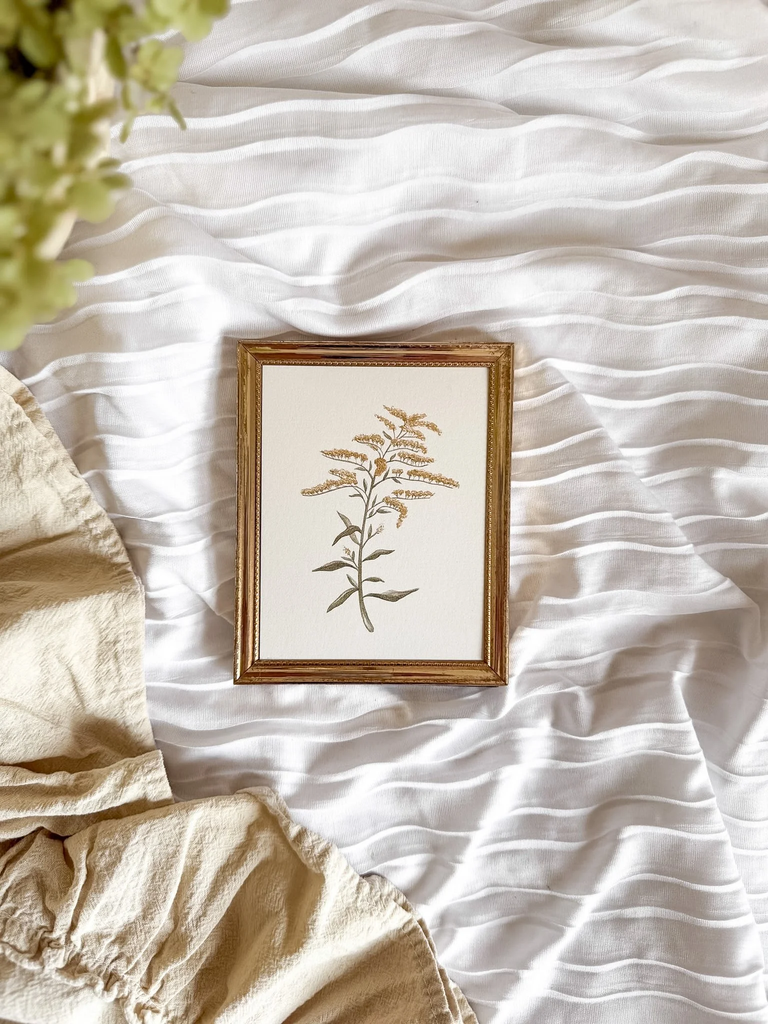 "Goldenrod" Framed Art Print