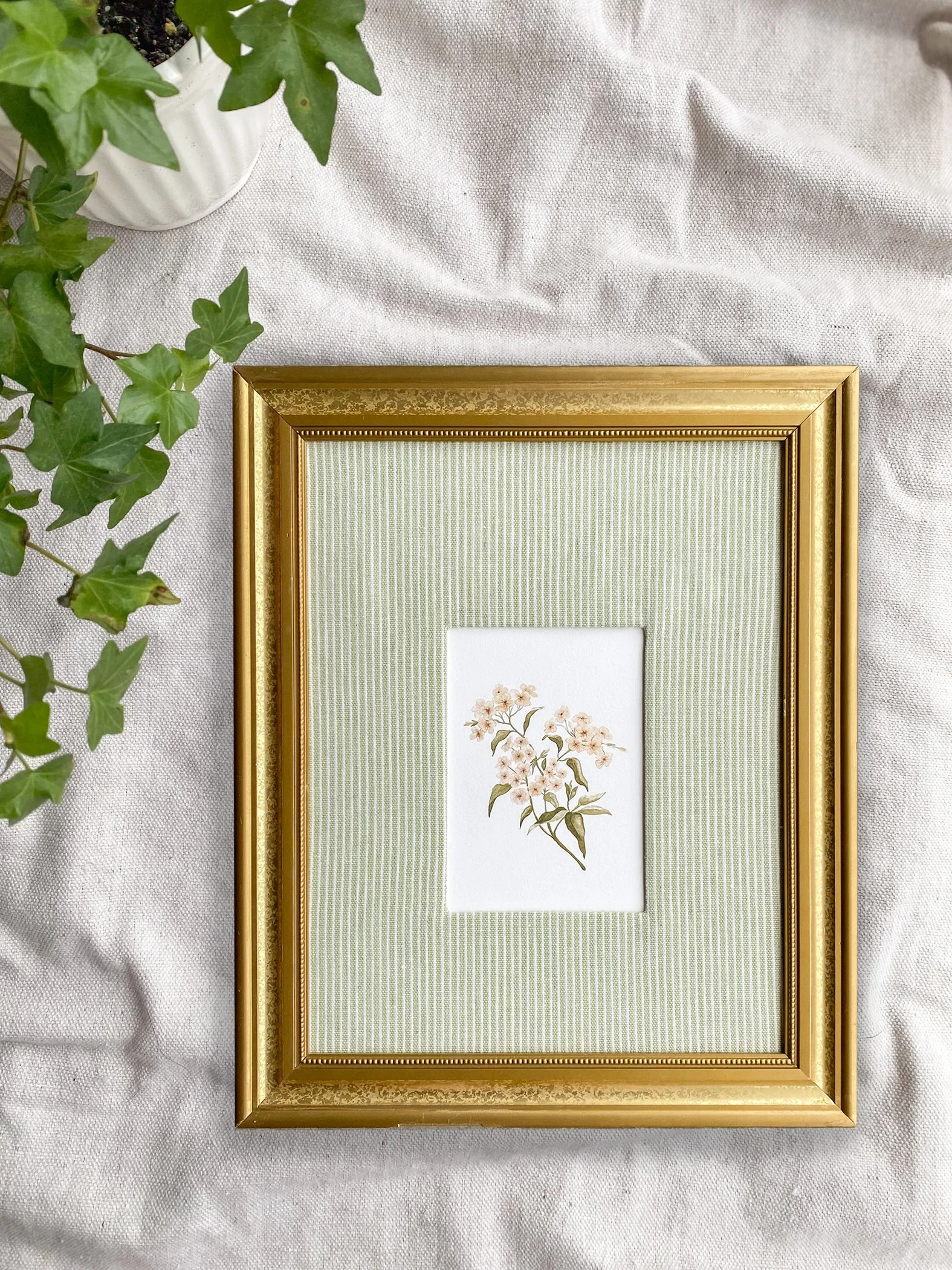 "Garden Phlox" Framed Art Print