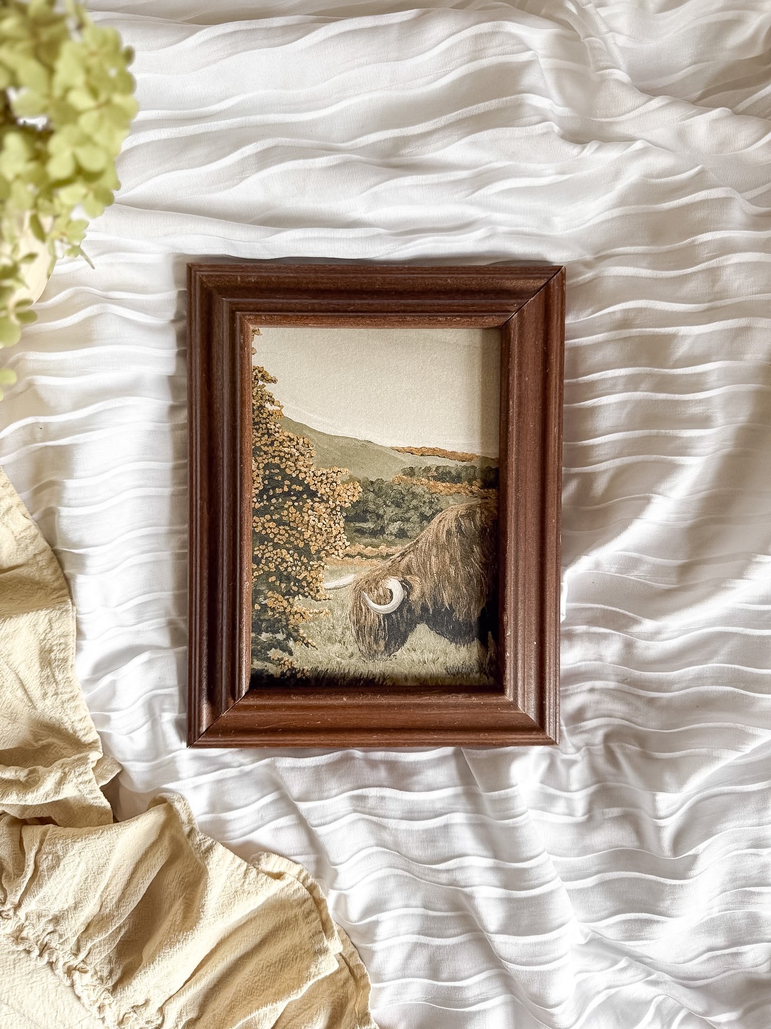 "Middle of the Meadow" Framed Art Print