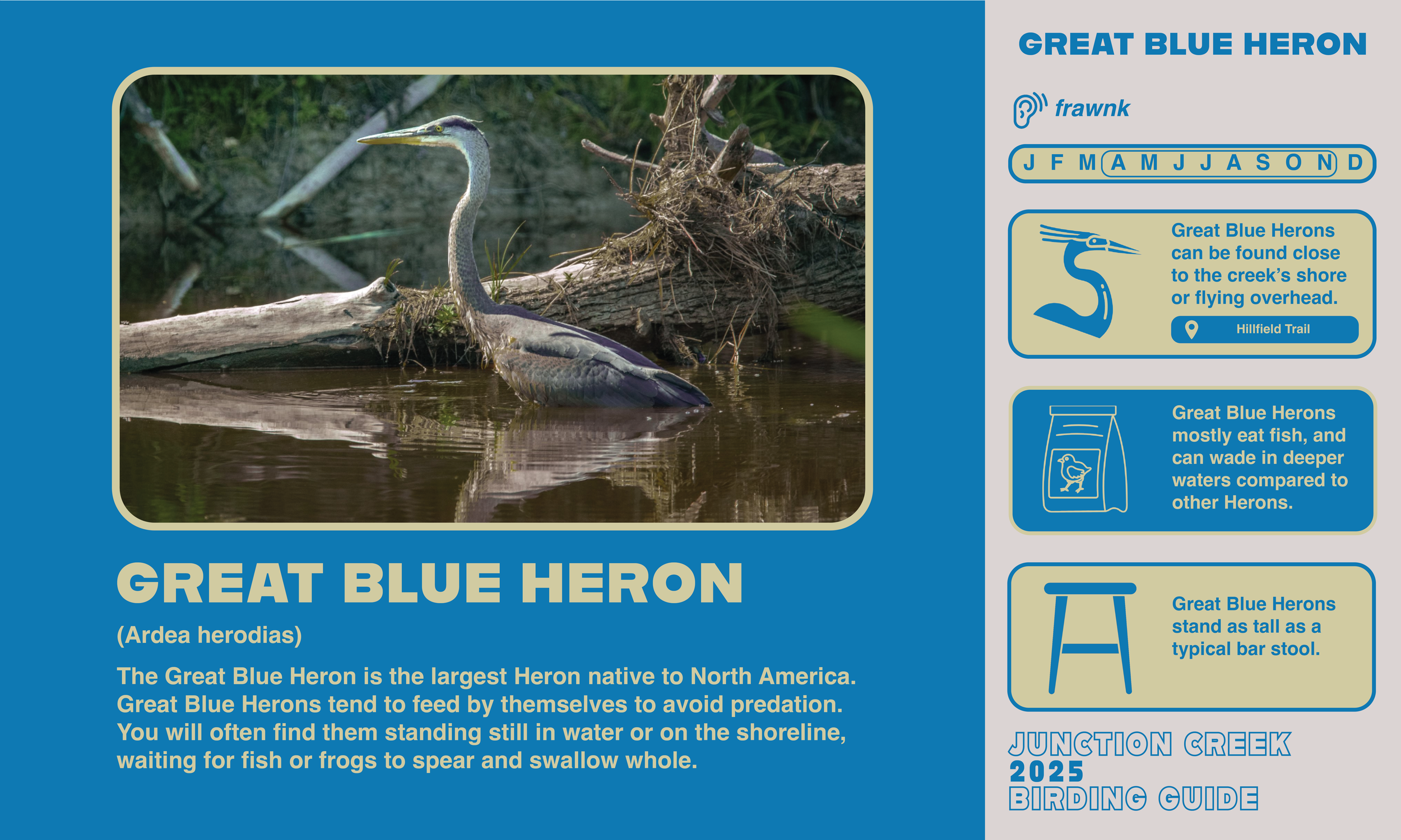 Junction Creek Birding 20253.png