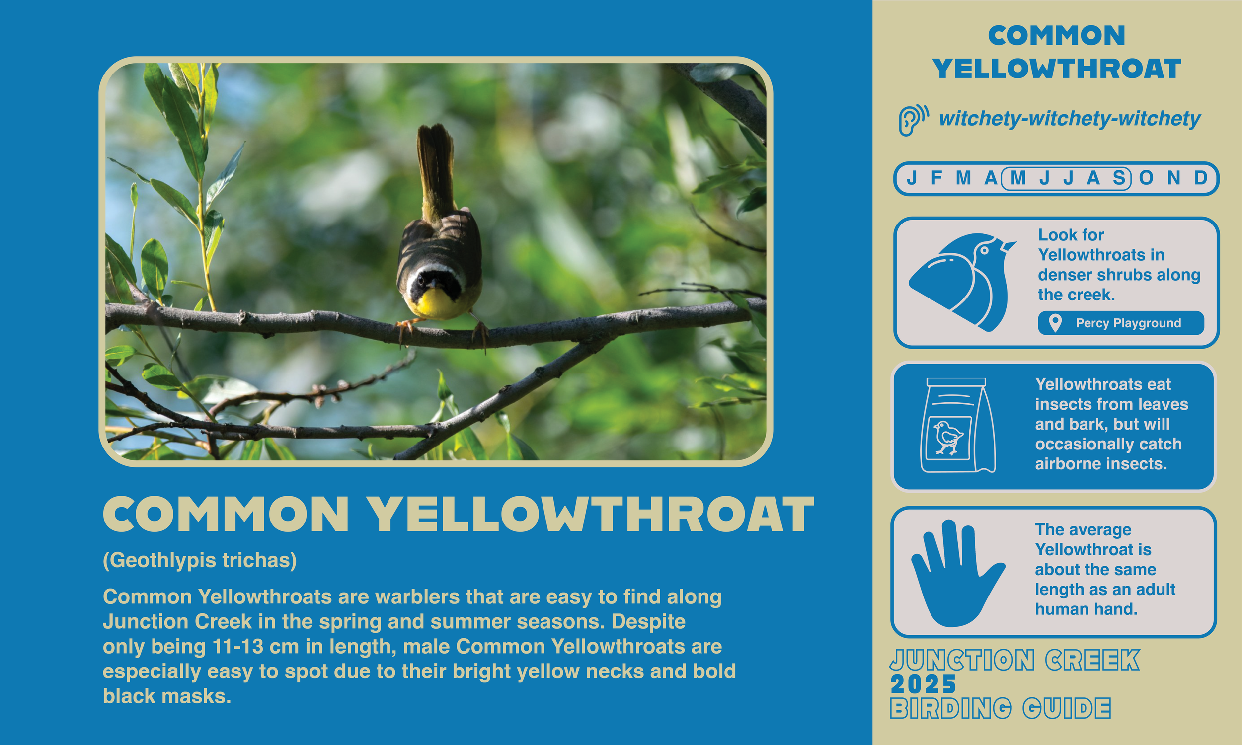 Junction Creek Birding 20256.png