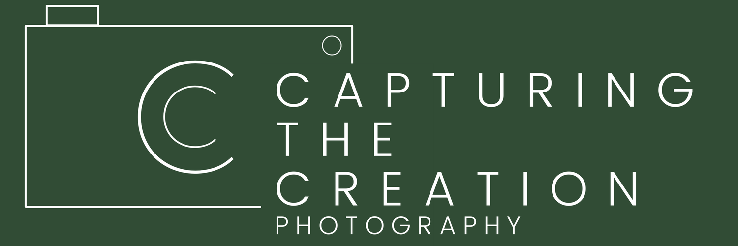 Capturing the Creation