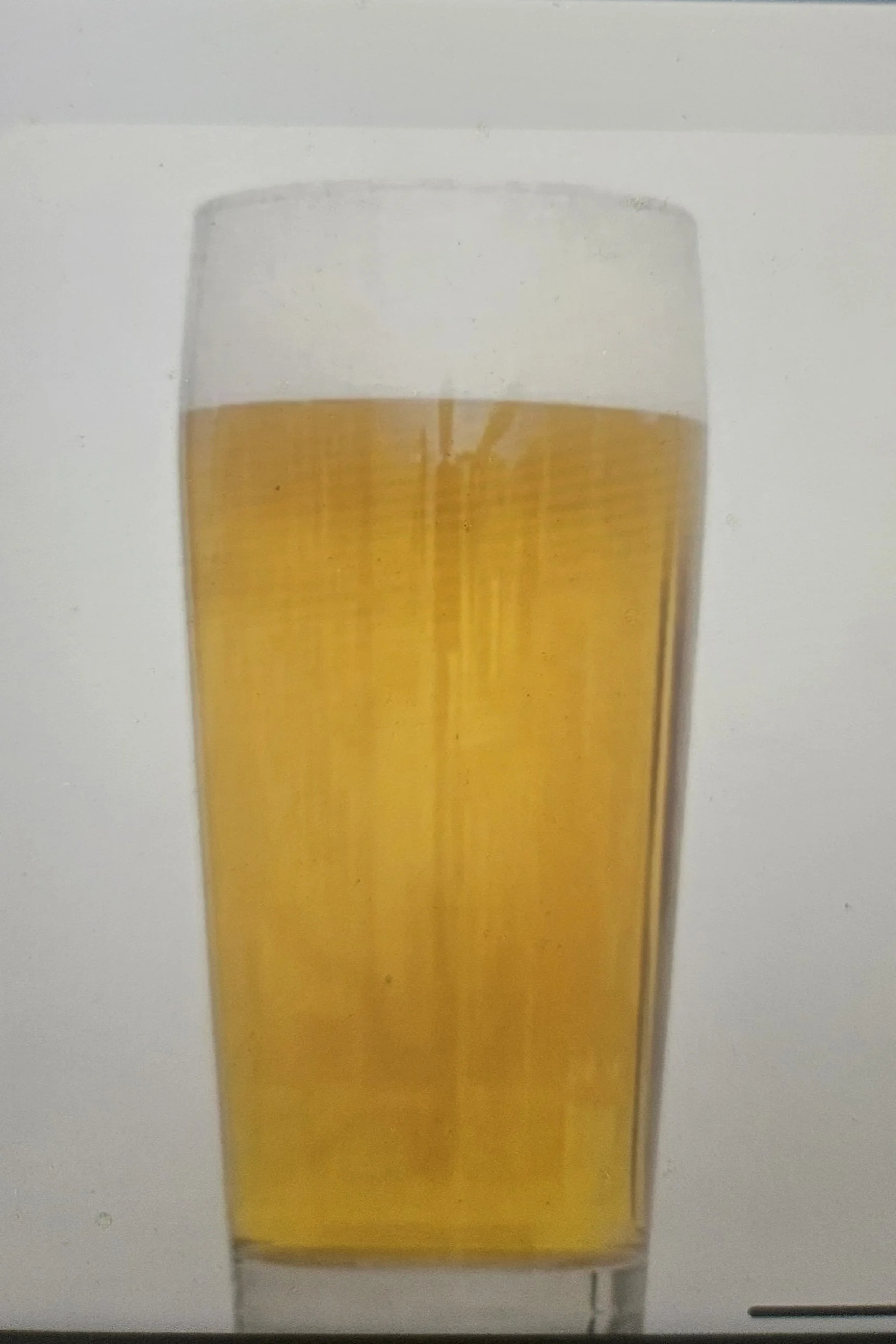 Mexican Lager