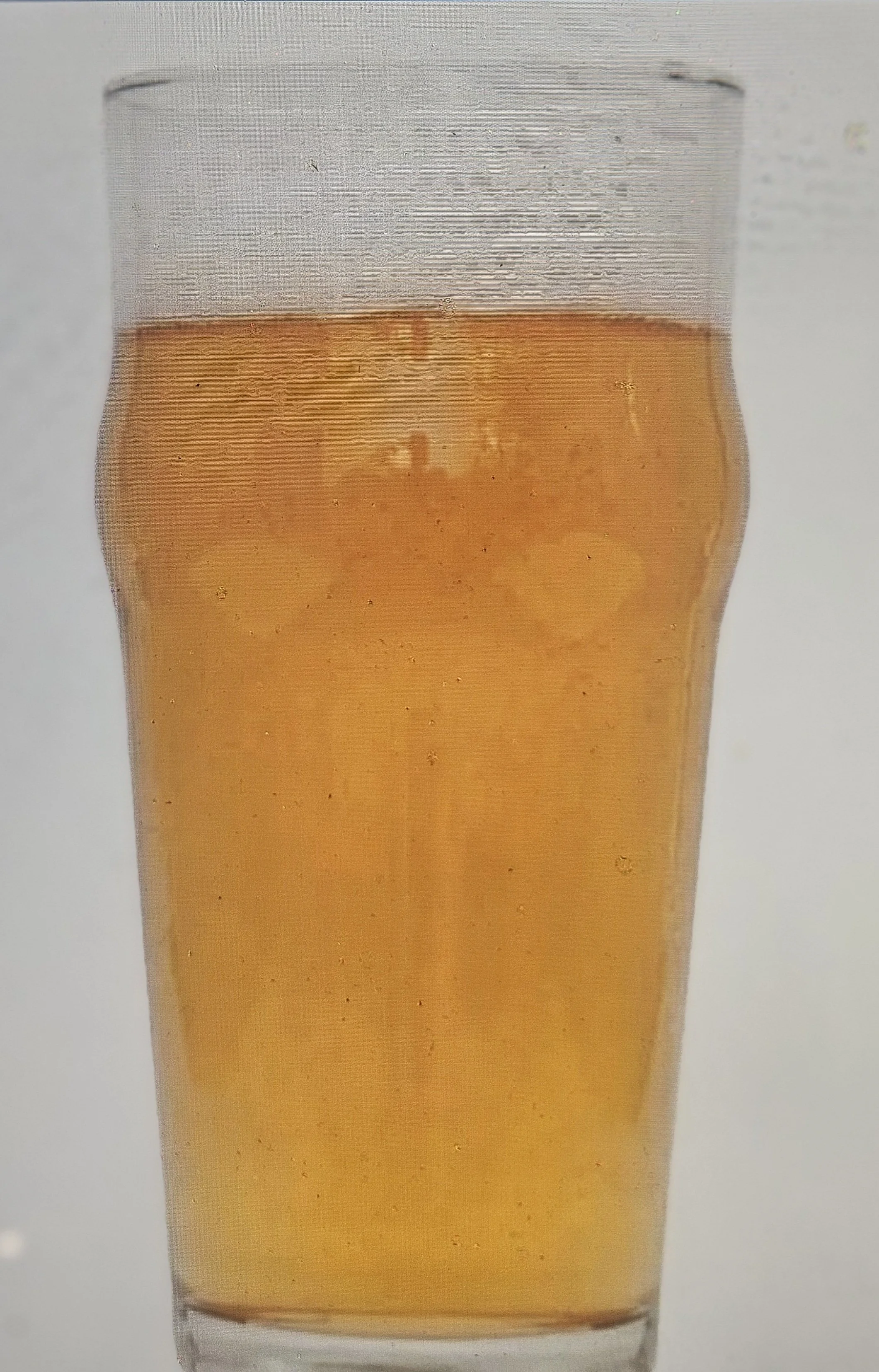 Citrus IPA