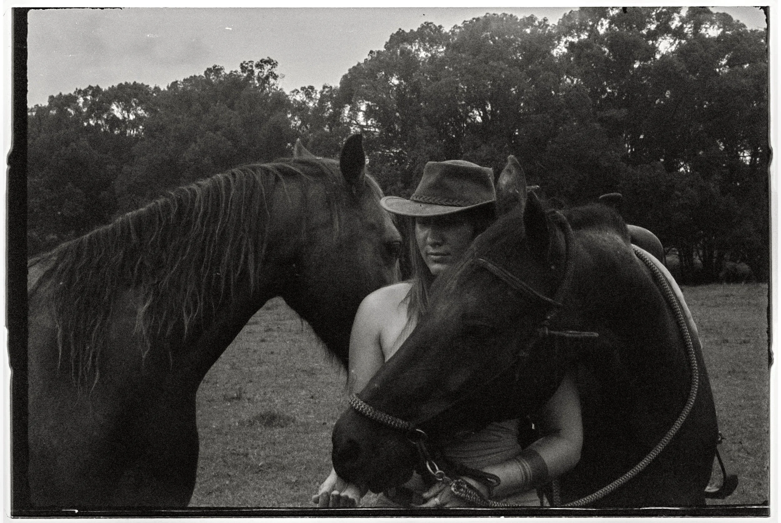 A person in a cowboy hat standing close to a horse while another horse's head is visible nearby, set outdoors with a background of trees.