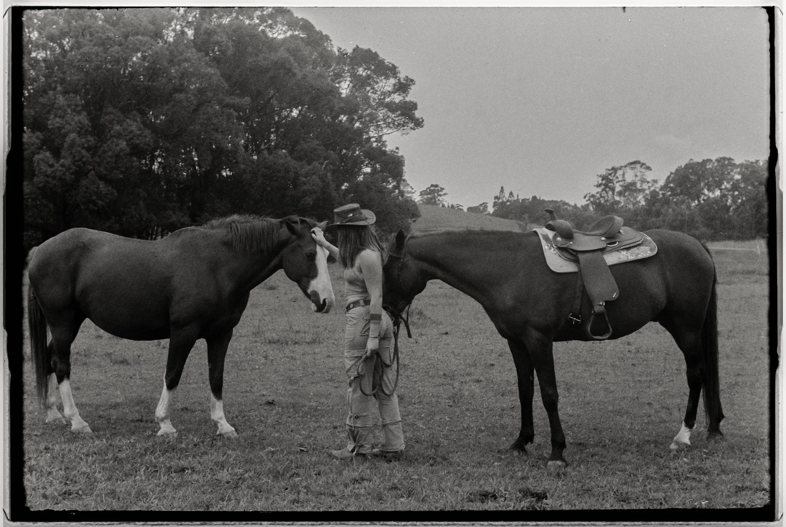 A young girl with long hair wearing a hat and pants pets two horses that are saddled and standing on a grassy field, with trees in the background.