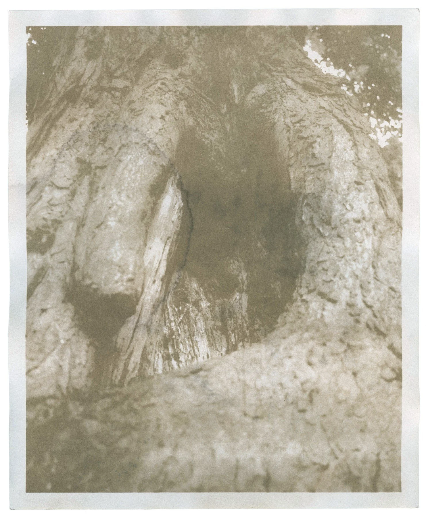 Isaac McKenna - In Memoriam (Volunteer Park #2) - Isaac M.jpg