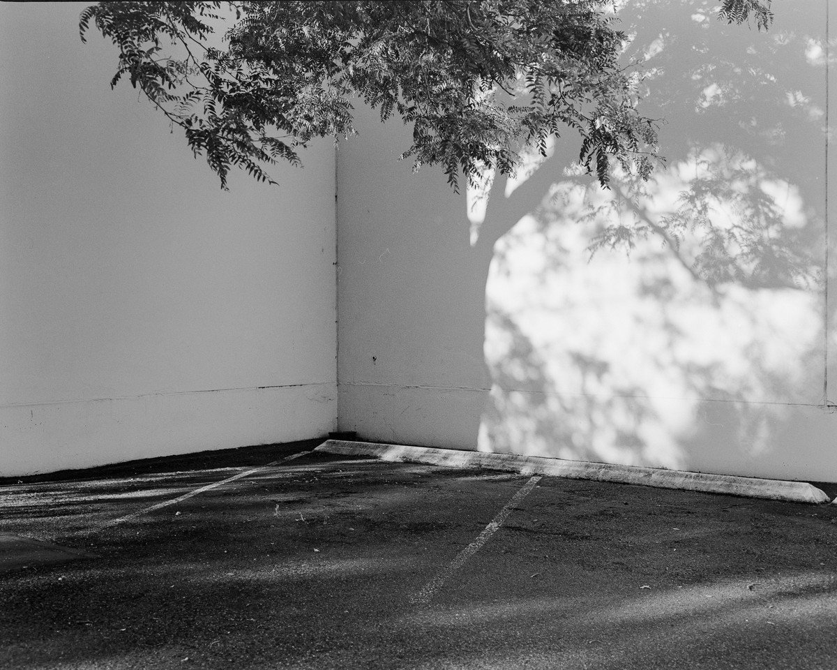rvh-humanremains-03.jpg