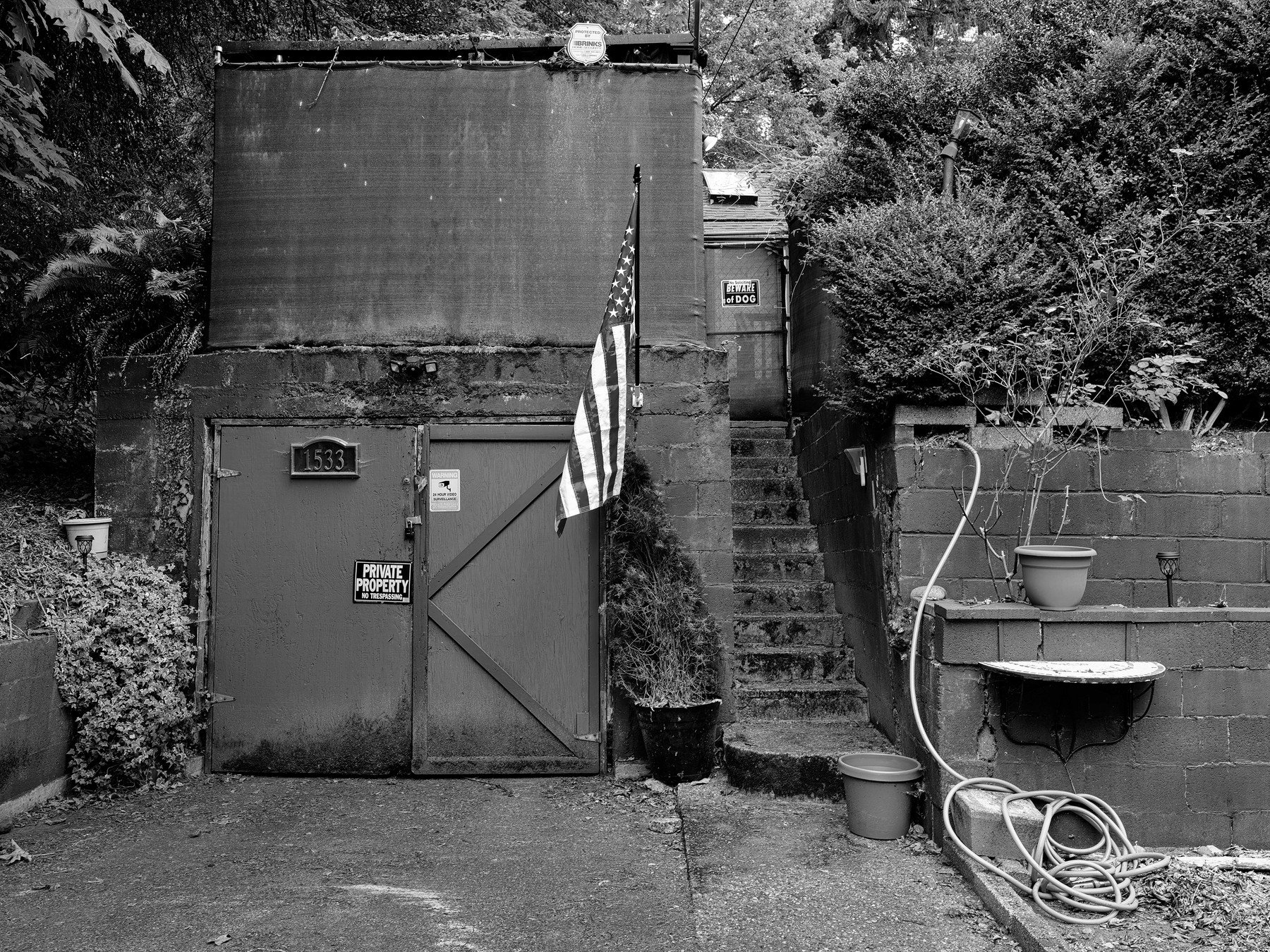 Kevin Junker-Black Flag - Kevin Junker.jpg