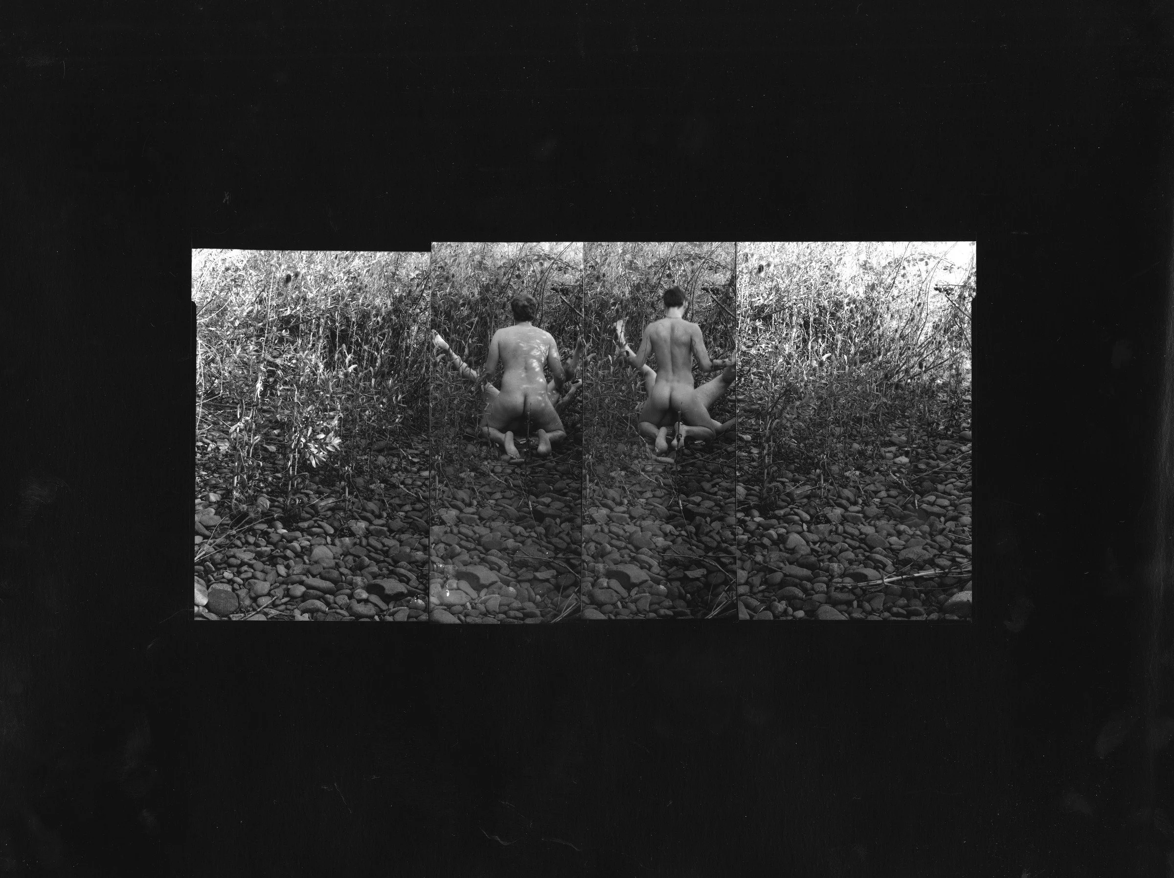 Rothwell-Reciprocity(FlipFuck).jpg