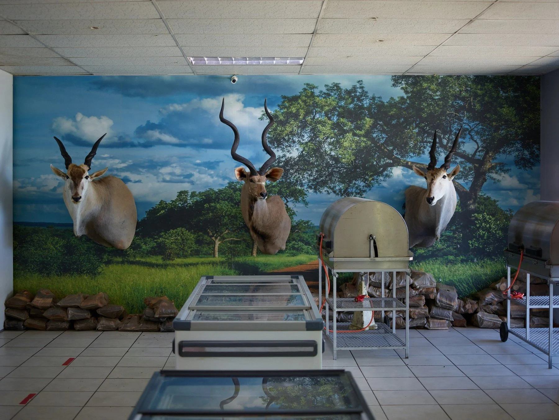 anton_bossenbroek_1410_Meat Masters Slaghuis-Butchery, Standerton, 2025 - Anton Bossenbroek.jpg