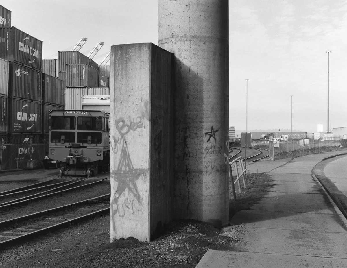 rvh-humanremains-09.jpg