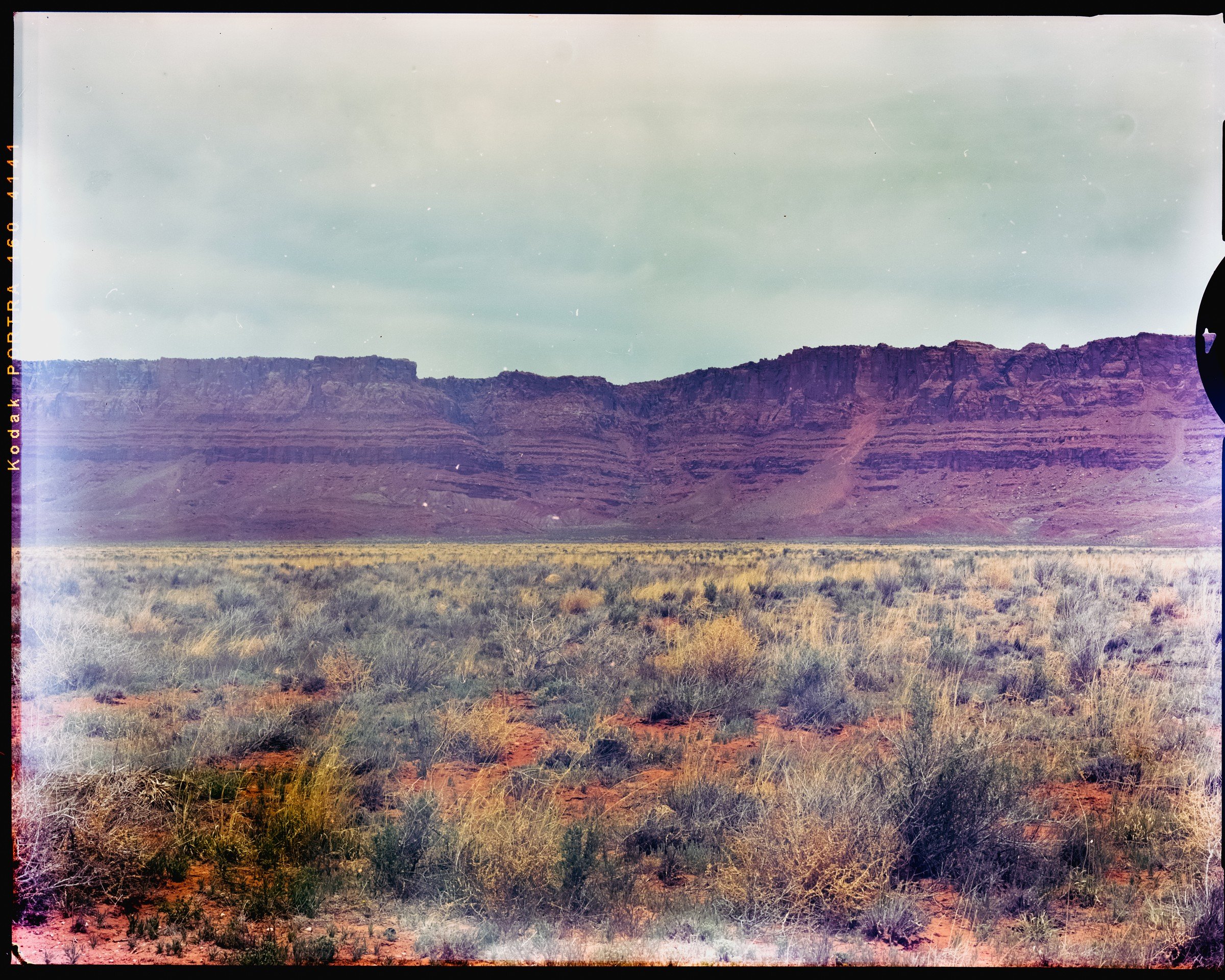 TSampaco-Americana-5.jpg