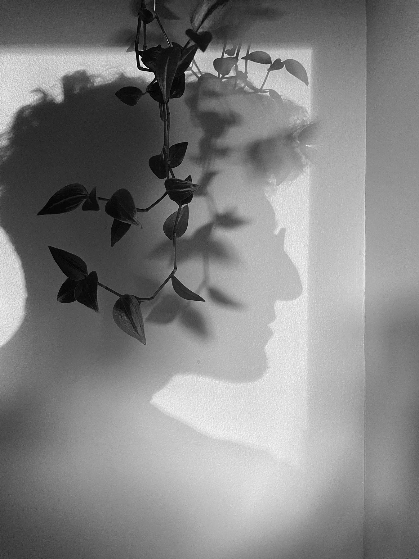 Jon_Feinstein_Wandering Jew - Jonathan Feinstein.jpg