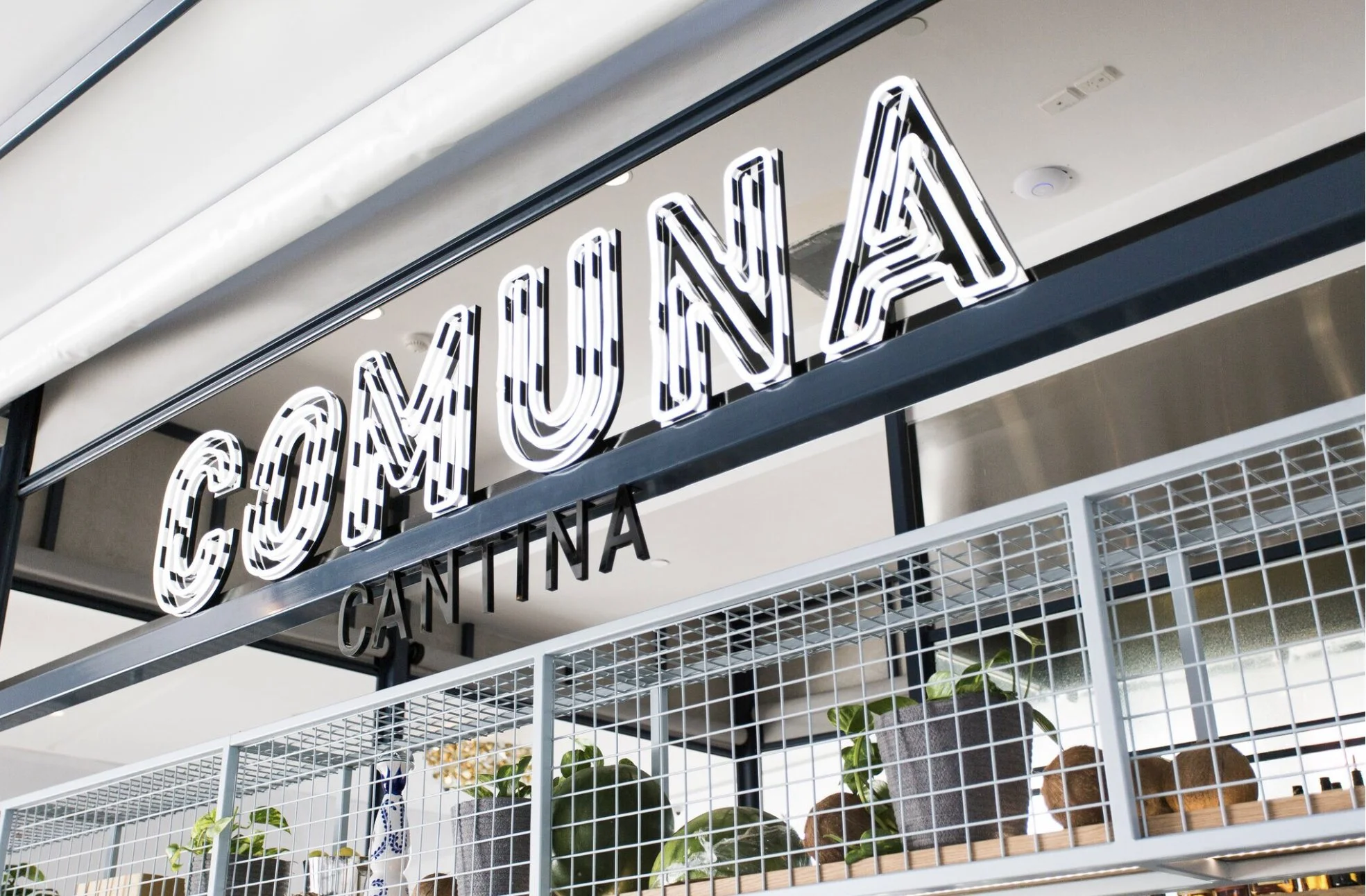 Neon sign that reads 'COMUNA CANTINA' above a display of potted plants on a metal shelf inside a restaurant or cafe.