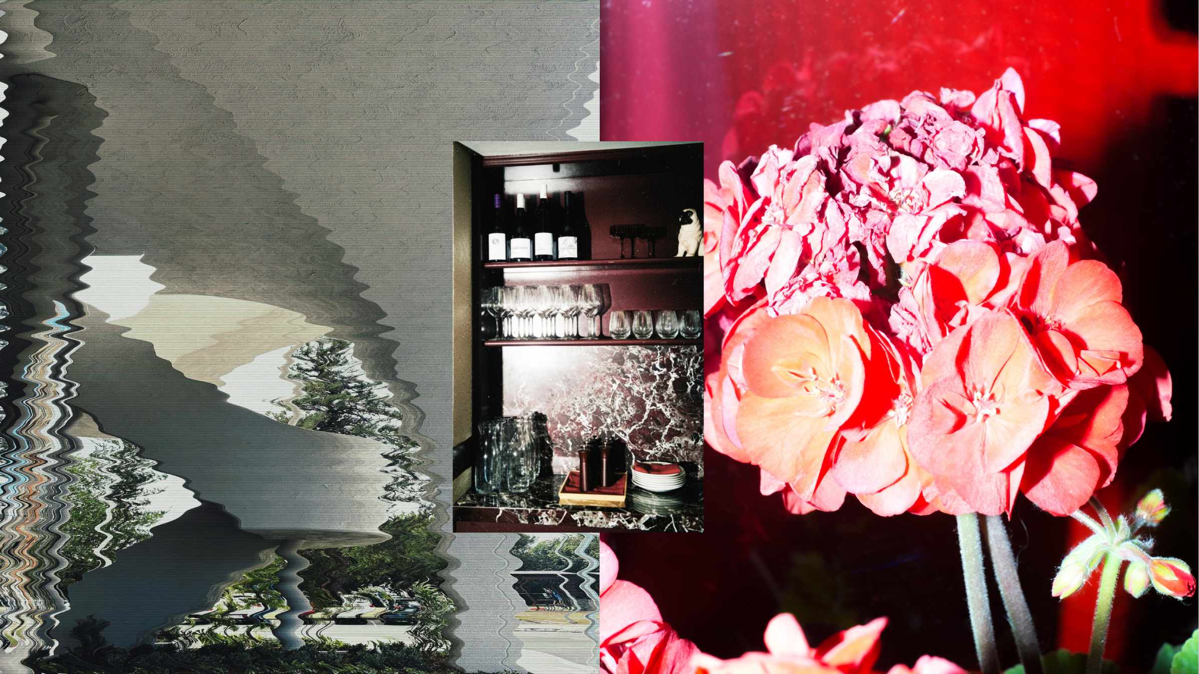 A collage with a distorted image on the left showing a building, trees, and sky, and a clear close-up of pink and coral flowers on the right.