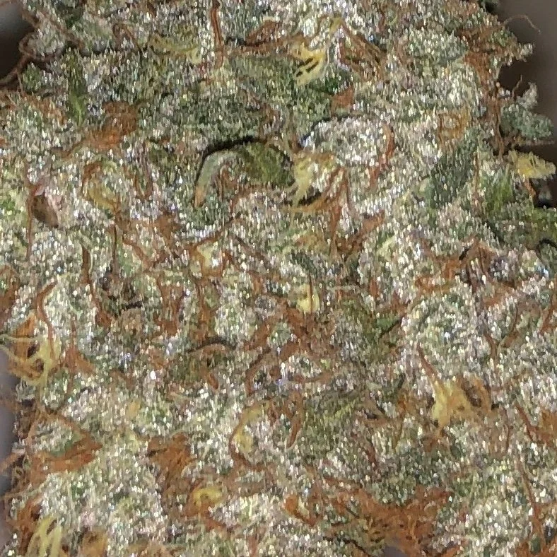 Canton+Kush.jpg