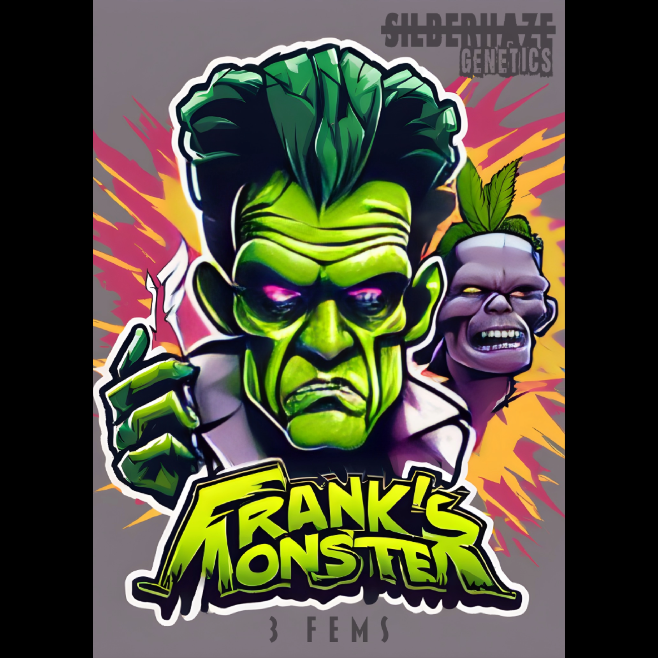 Franks Monter FEMS.png