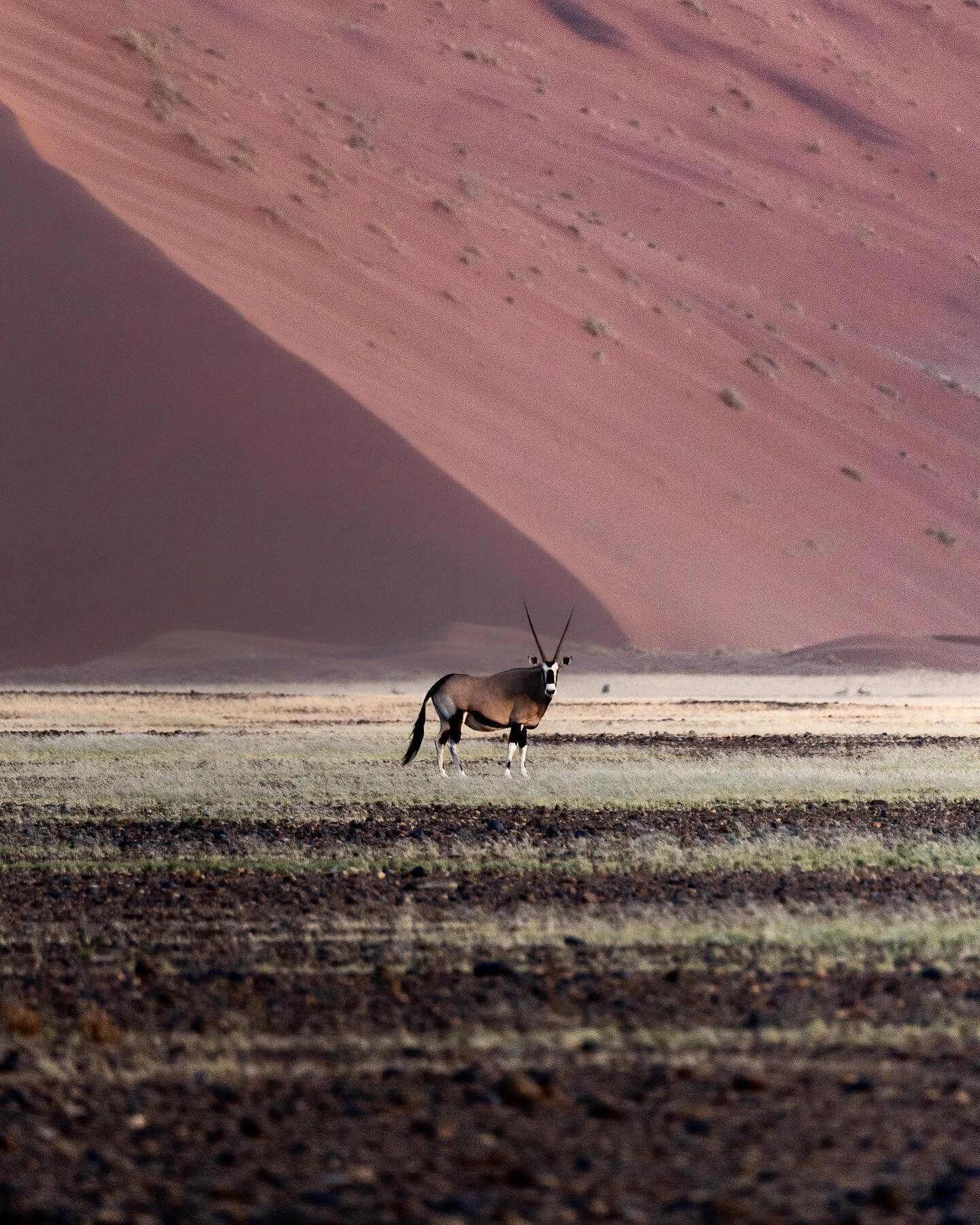 Pastels of Namibia 💜

Missing these views and tones. Whether it&rsquo;s sunset or sunrise, you can find yourself surrounded by these beautiful colors in the vast Namibian landscapes. 
.
.
.
.
.
.
#namibia #namibia2022 #namibiatourism #namib #namibia