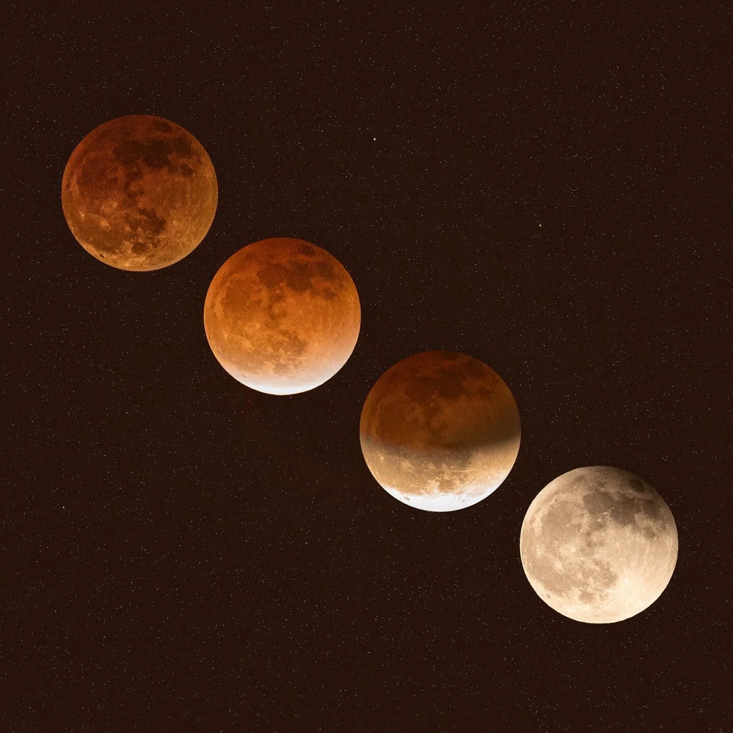🌑🌒 Eclipse Phases 🌓🌕

A little bit late but, hopping on the eclipse train with a photo composite of some of the phases I captured during this recent blood moon eclipse. So fun to watch the phases and colors slowly shift ✨
.
.
.
.
.
.
.
.
#losange