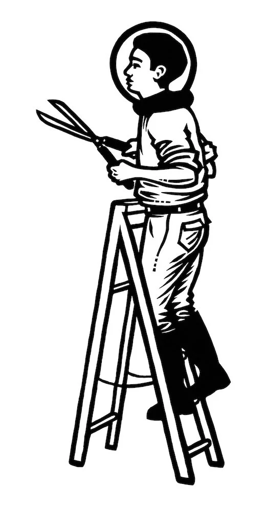ladder_scan.jpg