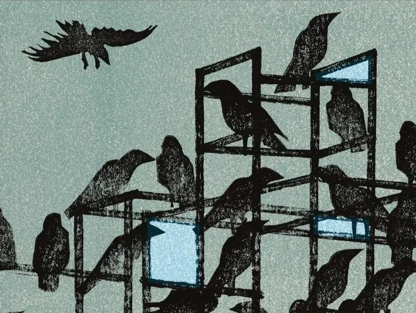 The Birds