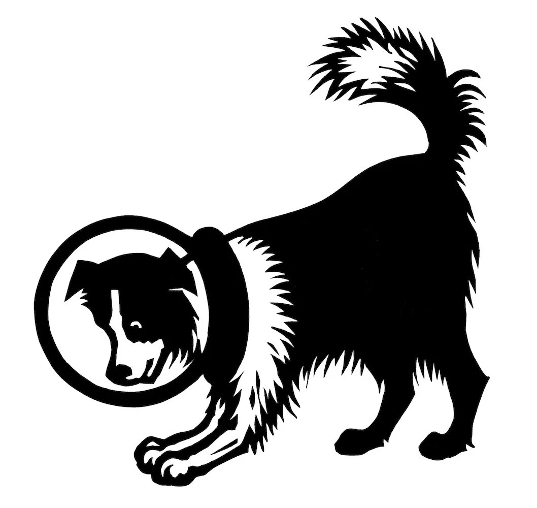 dog.jpg