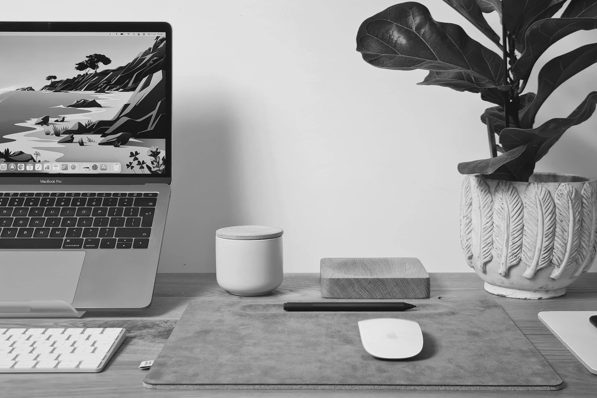 Een bureau met een laptop, muis, plant.