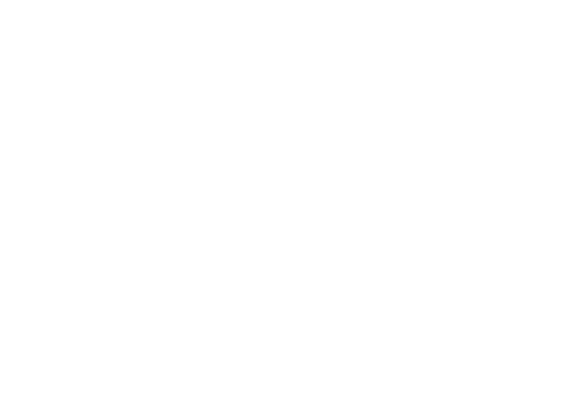 Robien. Webdesign