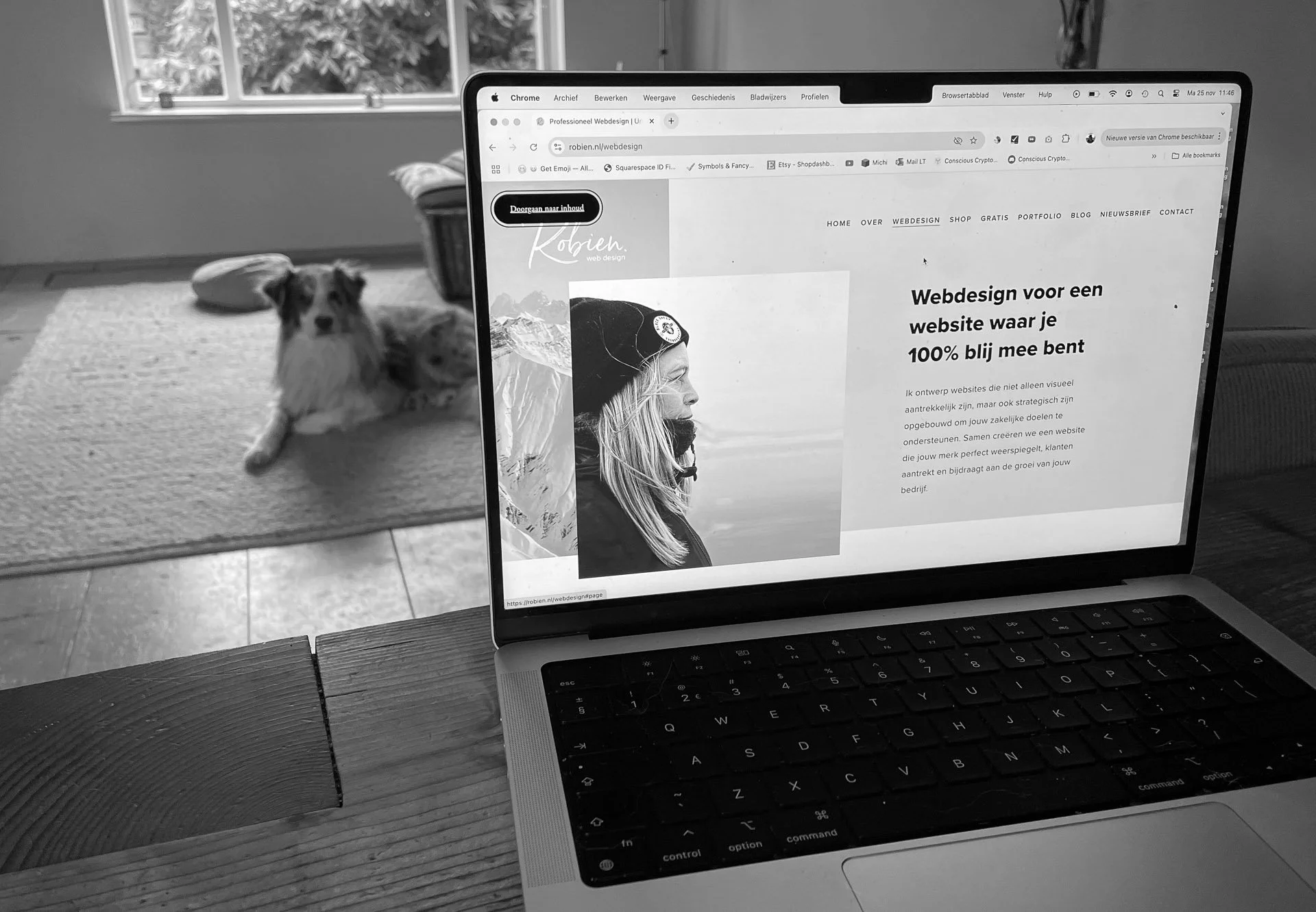 Een laptop met de website van Robien op het scherm en haar hond op de achtergrond.