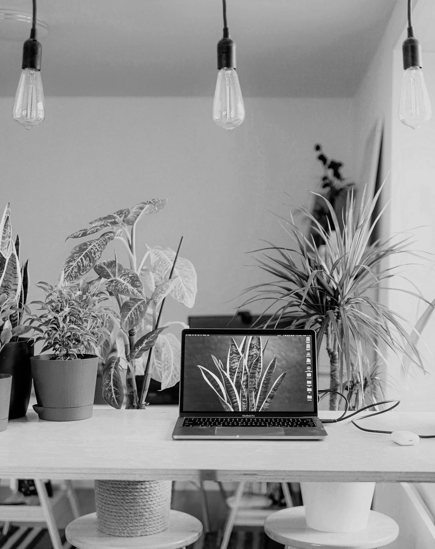 Laptop op een bureau omringd door groene planten