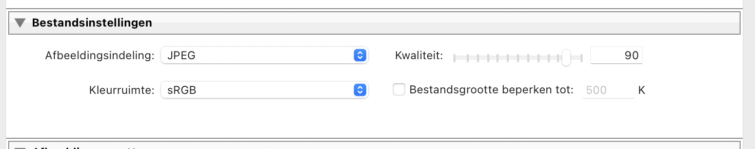 Screenshot van bestandsinstellingen in het Lightroom exportvenster