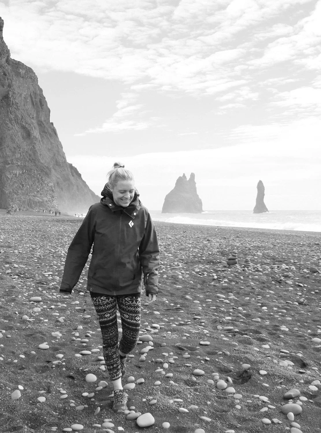 Robien op het strand in IJsland