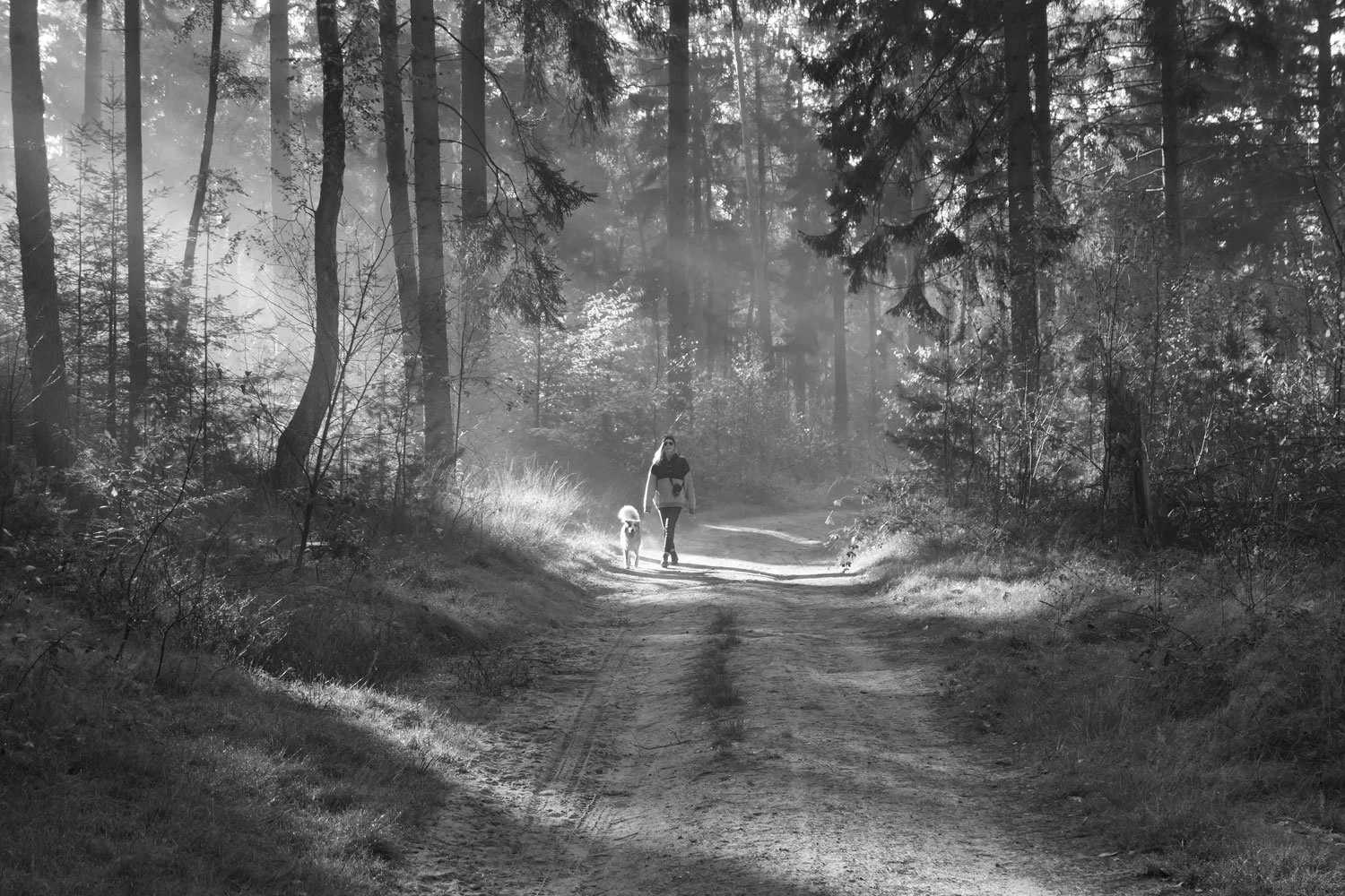 Robien met haar hond in een bos