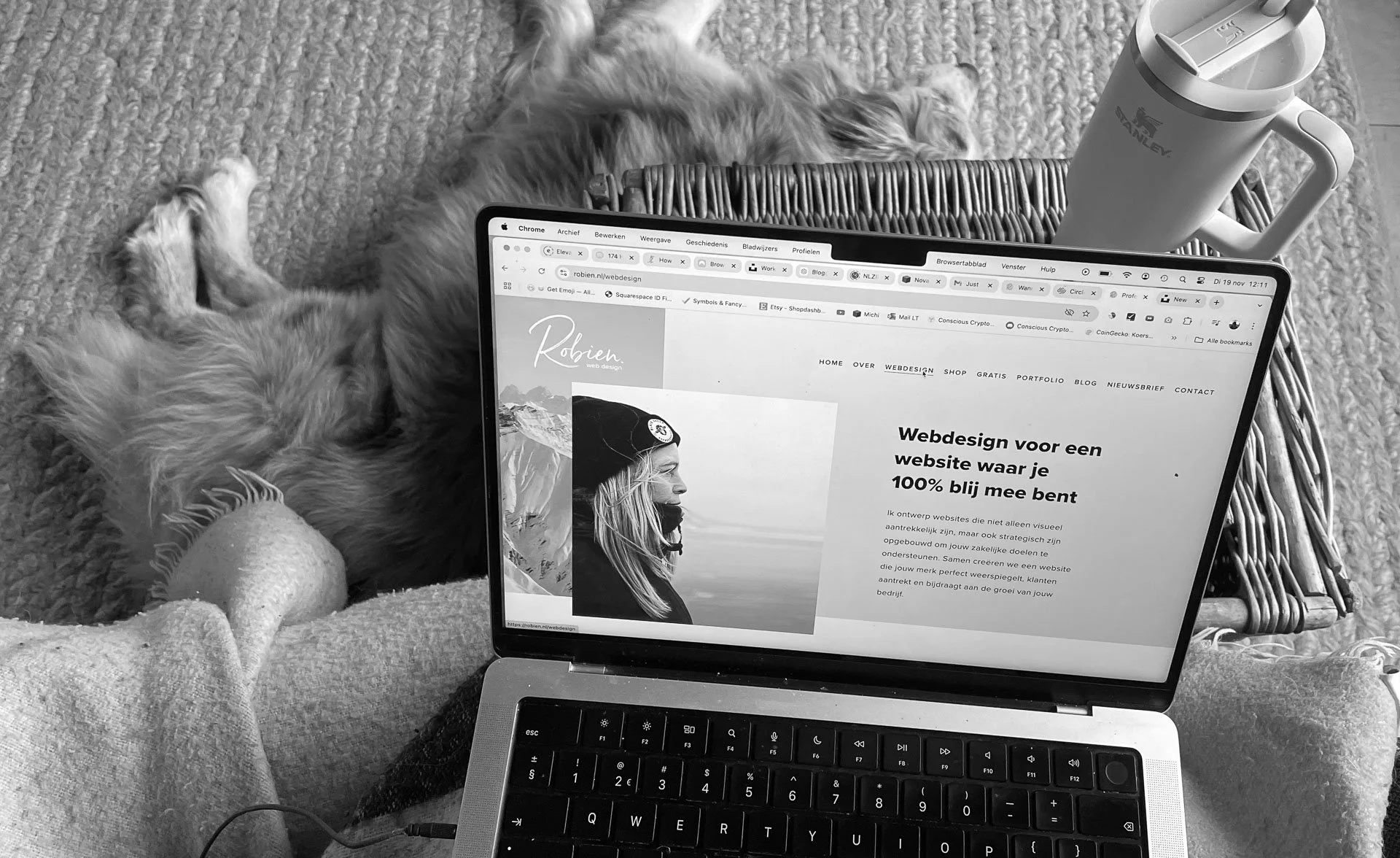 Een laptop met de website van Robien op het scherm en haar hond op de achtergrond.