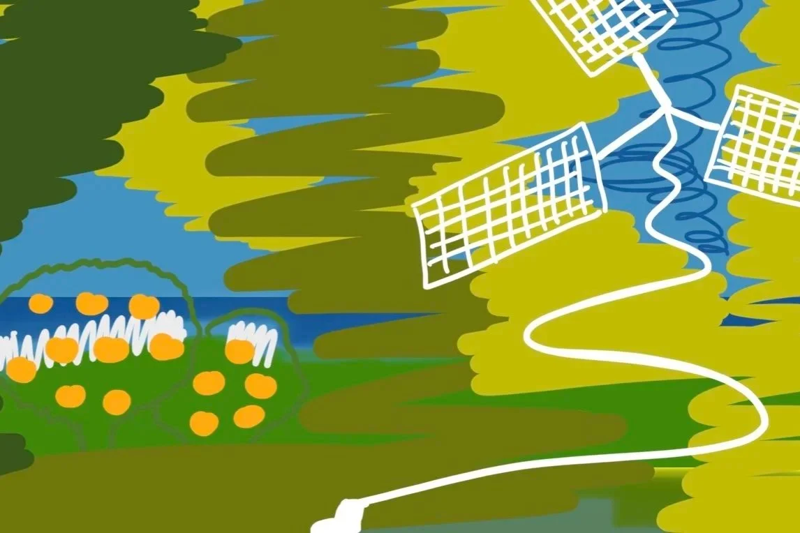 Bridges Kammerorchester // Heidelberger Frühling