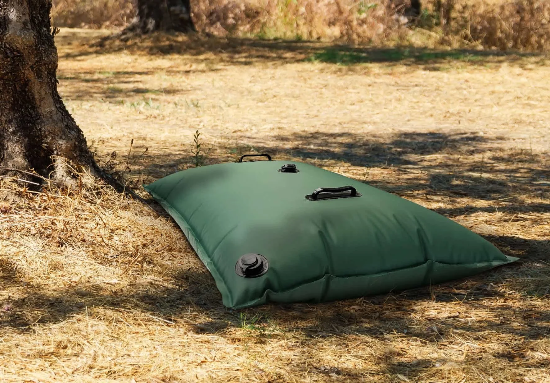 sac arbre secheresse FINAL ENVOI.jpg