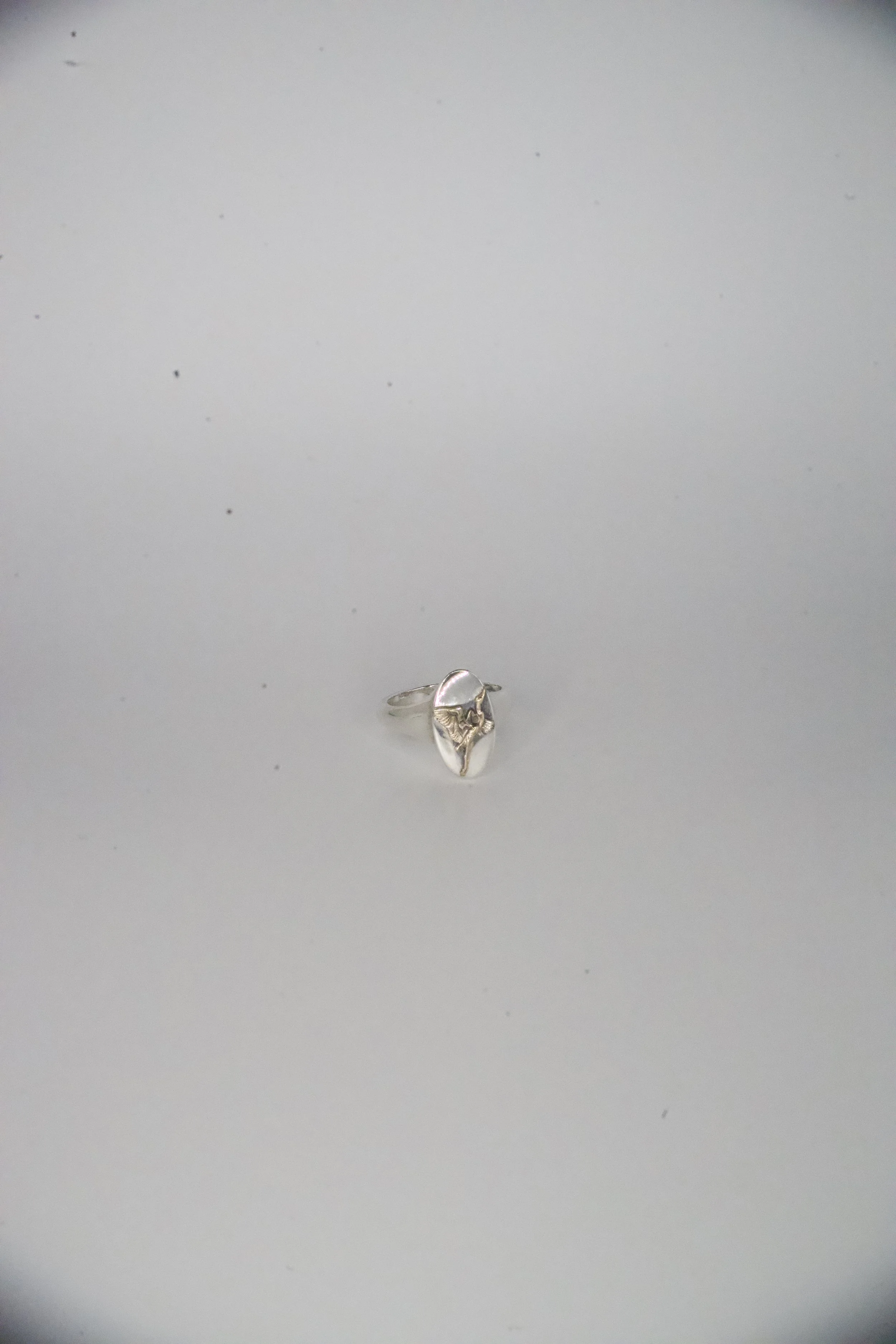 Heron Signet with Gold