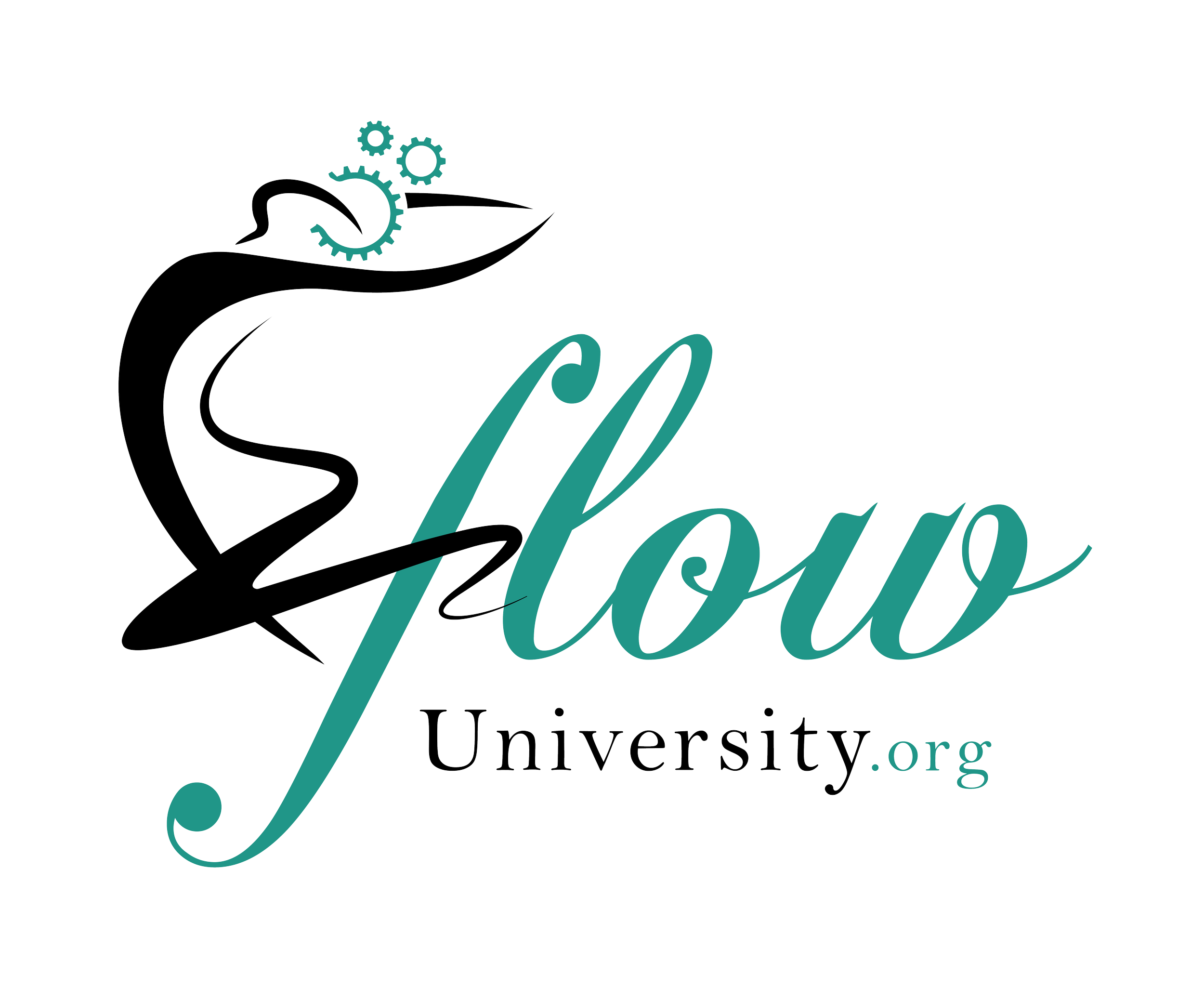 Flow-University-Logo-Color v3.png
