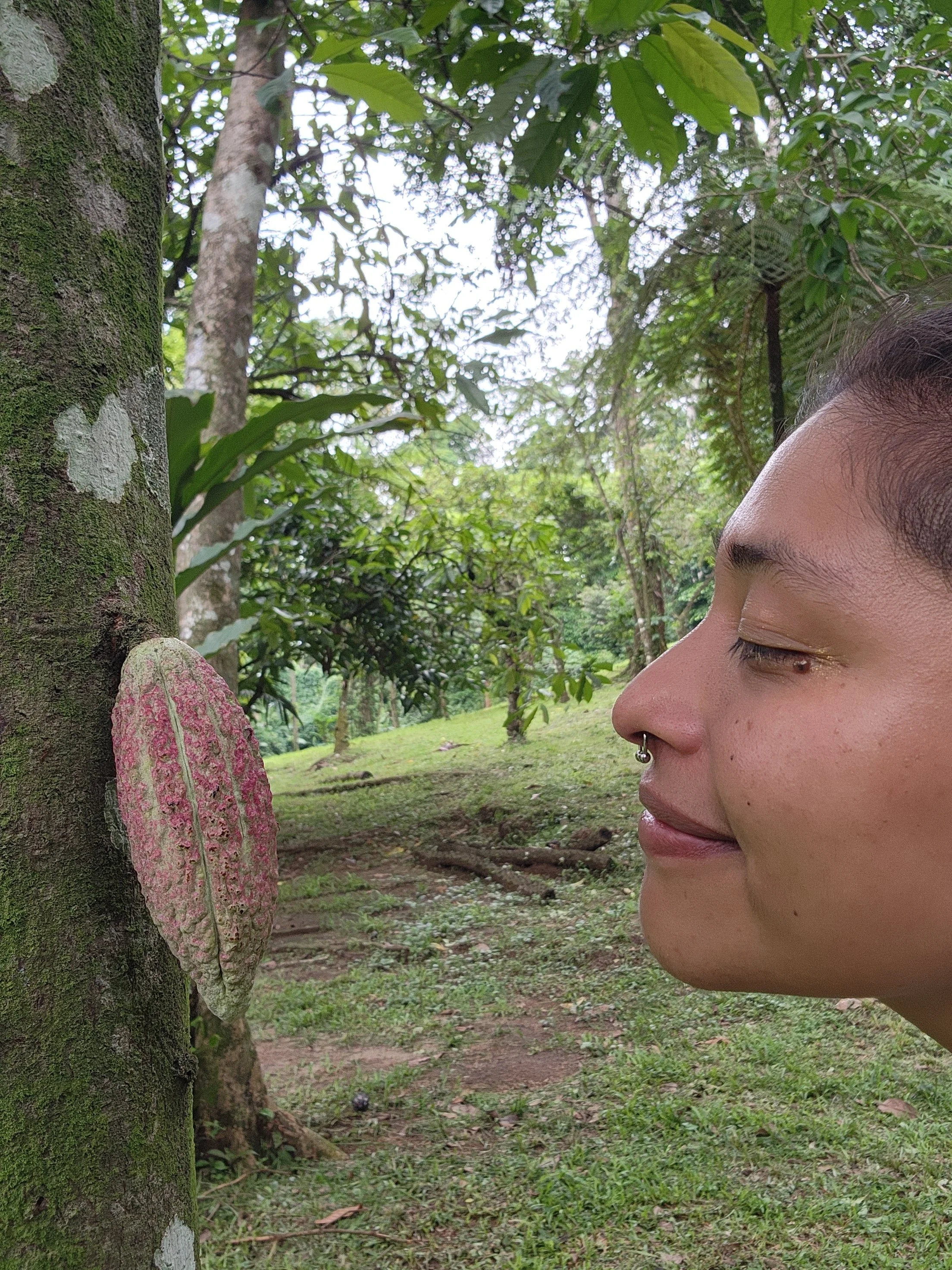 Photograph of KC’s profile, they are smiling facing a cacao pod on a tree with more trees in the background.