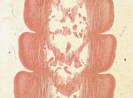 image_2.jpg