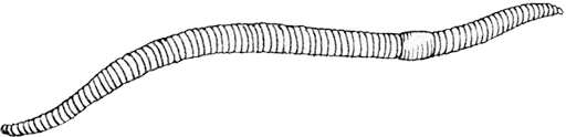 image_31 (1).png