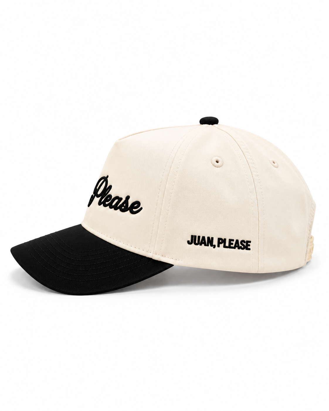 Side View Say Please Embroidered snapback hat.png