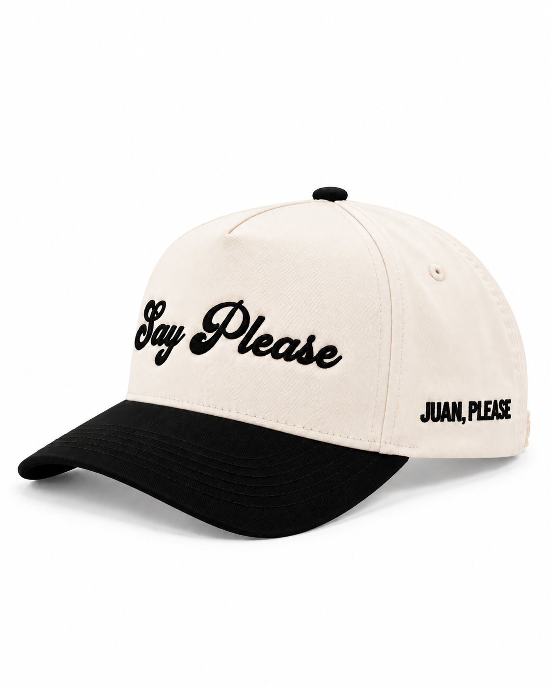 Say Please Embroidered snapback hat.png