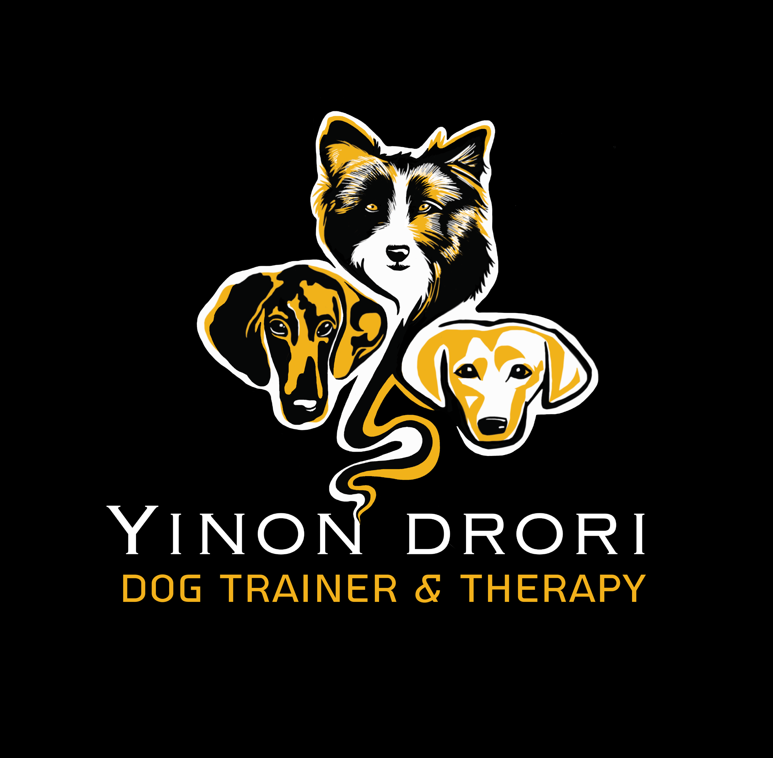 yinon logo black background22-1.png