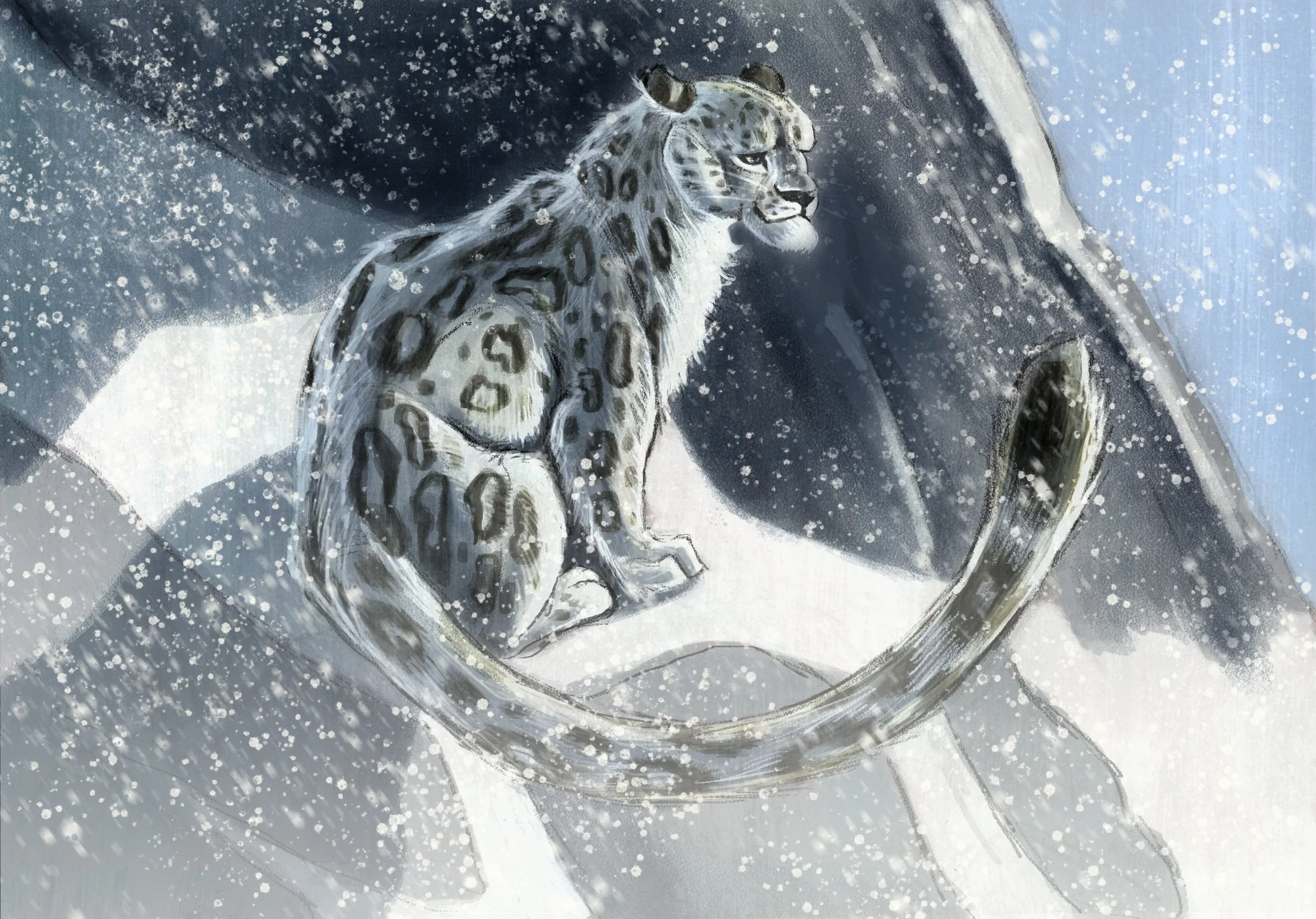 Untitled_Artwork (27).jpg