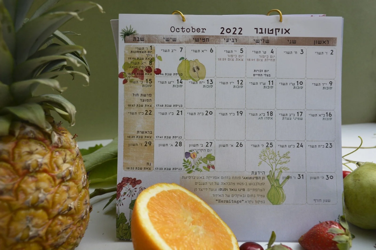 WhatsApp Image 2023-11-26 at 15.37.38_42fb53fe (1).jpg